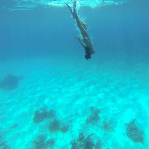 Hannah-Betts-diving.jpeg